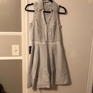 Express Sleeveless Striped Mini Dress